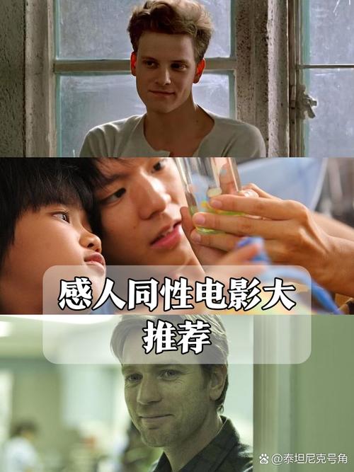 免费看视频app下载的相关介绍