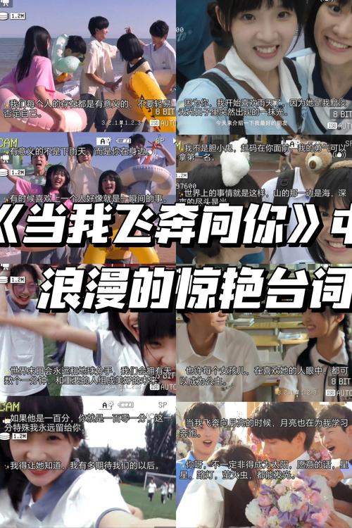国产盗摄毛片的相关介绍