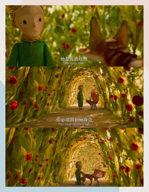 少妇的菊蕾和屁股眼的相关介绍